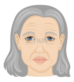 一位老妇人的画像脸