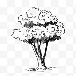 植物茂密图片_线描树树木