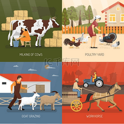 牛羊图片_农场动物设计理念。