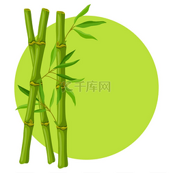 自然竹图片_与绿色竹茎和叶子的背景。