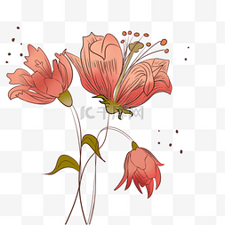 珊瑚色婚礼图片_花卉卡通风格抽象线稿花朵
