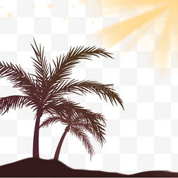 阳光下剪影图片_阳光照射下的椰树夏季夜晚边框