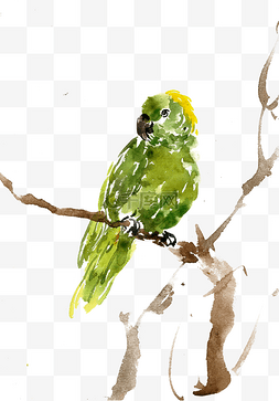树枝彩色水墨画图片_枝头的绿鹦鹉