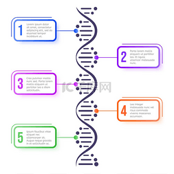 染色体dna图片_分子概念摘要图分子螺旋螺旋结构