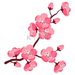 樱花插图图片_美丽的樱花或樱桃树枝的插图。