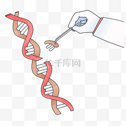 医学基因细胞图片_基因编辑中的自然密码