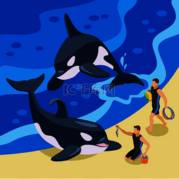 海豚和鲸鱼图片_海洋马戏团等距背景与动物驯兽师