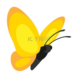 装饰蝴蝶的插图色彩鲜艳抽象昆虫
