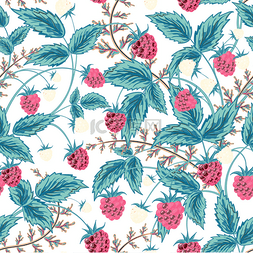 红色的树莓图片_Seamless raspberry pattern. Cute hand drawing