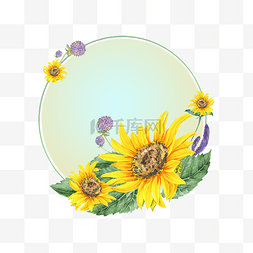 手绘花卉圆形边框图片_向日葵花卉渐变边框