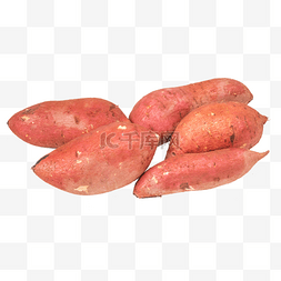 餐饮食材红薯番薯