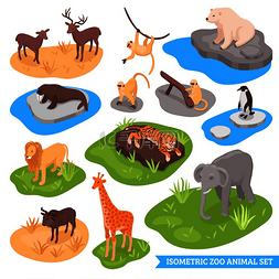 丛林动物园图片_等距动物园装饰图标集动物生活在