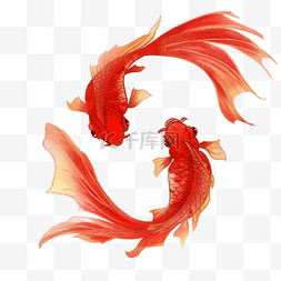 中国画鱼图片_鱼缸金鱼