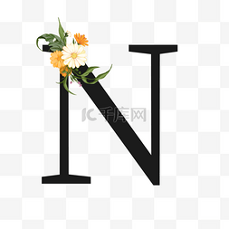 花卉字母图片_黄白色菊花花卉黑色n字母