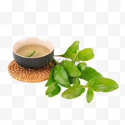 绿茶茶叶图片_新茶茶叶泡茶