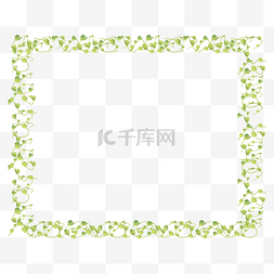 可爱绿叶边框图片_春季绿色藤蔓可爱植物边框