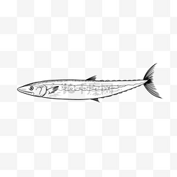 热带鱼线描鱼