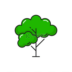 白色绿叶图标图片_有树枝和绿叶的树孤立的细线图标