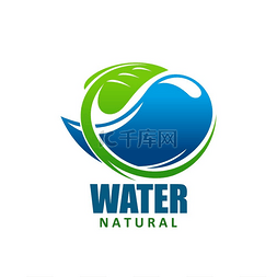 干净的标志图片_带有水滴和绿叶的天然水图标，干