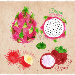 纹理牛皮纸素材图片_奇异的水果水彩火龙果、 红毛丹