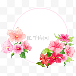 插画花丛图片_木槿花圆形花卉边框