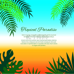 带有绿色棕榈叶的热带天堂宣传海
