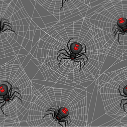 蜘蛛恐惧症图片_与黑寡妇蜘蛛的无缝模式。