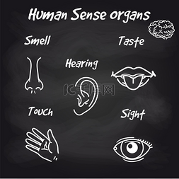 人体耳朵图标图片_黑板背景上的人体感觉器官。