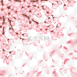 日本春季粉色樱花光效花瓣飘落