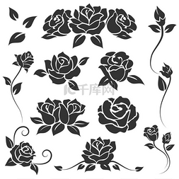 装饰白色玫瑰图片_孤立在白色背景上的玫瑰。