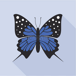 蝴蝶的扁平风格矢量插图