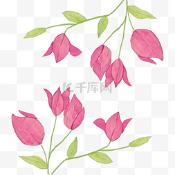 梅花花瓣边框图片_九重葛水彩花卉植物粉色