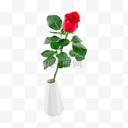 红色花束玫瑰