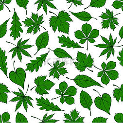 植物树叶图案图片_绿色的树叶采用橡木枫木和桦树树