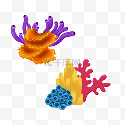 珊瑚模板图片_珊瑚礁海底植物插画