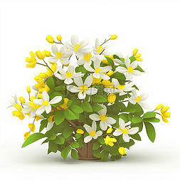 白色的栀子花图片_一束盛开的栀子花