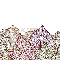 季节与月图片_无缝花纹与秋天的落叶。