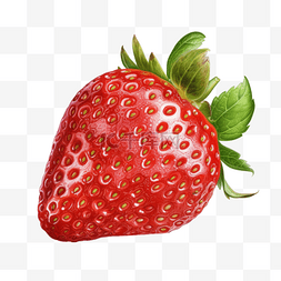 扁平插画手绘免抠元素草莓