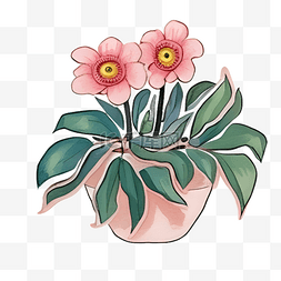 植物盆栽粉色花朵卡通手绘