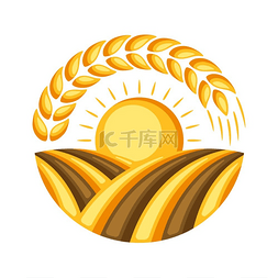 土地图片_麦穗成熟的田地插图农业徽章麦穗