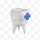 3D立体牙齿结构模型医疗