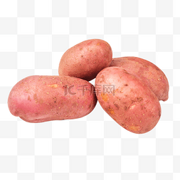 新鲜红皮土豆