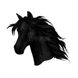 动物元素在设计中图片_黑色渡鸦马头肖像墨黑色的野马美
