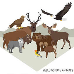 狼卡通头图片_黄石国家公园的动物。灰熊、 驼