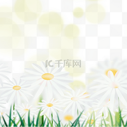光效装饰边框图片_黄色可爱花朵春天光效花卉边框