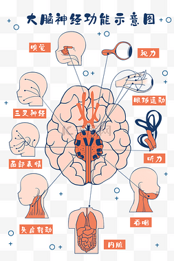 运转中的锯条图片_医疗人体组织器官大脑