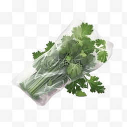 卡通超市蔬菜图片_卡通超市包装蔬菜香菜