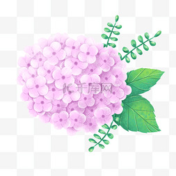 紫色扁平植物图片_绣球花水彩粉色