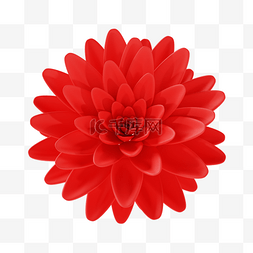 红色花朵植物图片_3D立体红色花朵