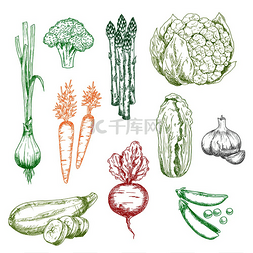 天妇罗菜花图片_甜胡萝卜和葱、西兰花和豌豆、大